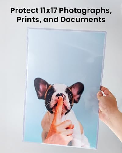 11 x 17 Rigid Clear Toploaders - Durable PVC Document Protectors, Plastic Sleeves for Photos, Larger Art Prints, and Menu Covers, 10 Pack